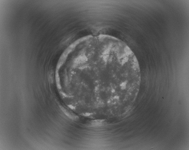 X0000080760090200701122040