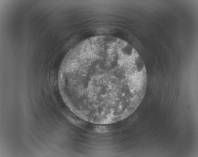 X0000080760091200701122040