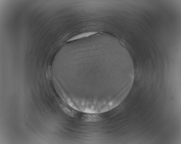 X0000080760093200701122040