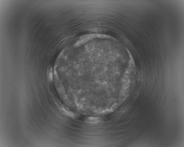 X0000080760095200701122040
