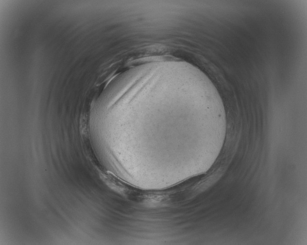 X0000080760096200701122041