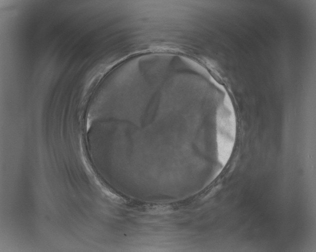 X0000080760097200701122040