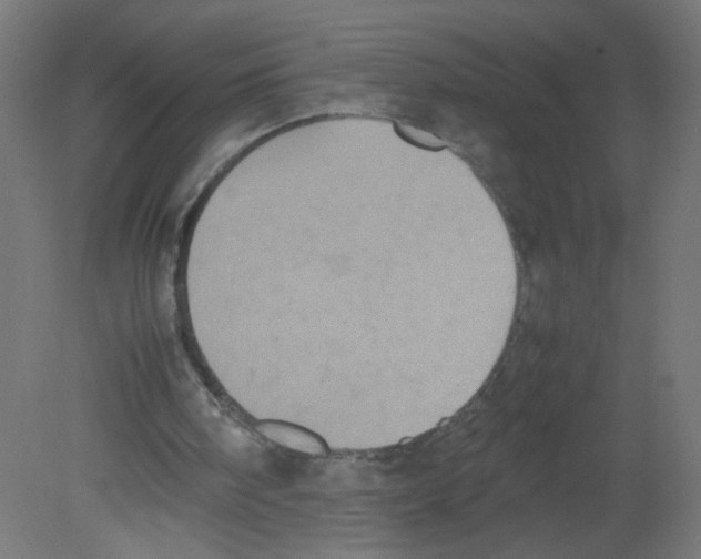 X0000080760098200701122040