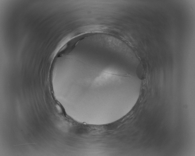 X0000080760099200701122040