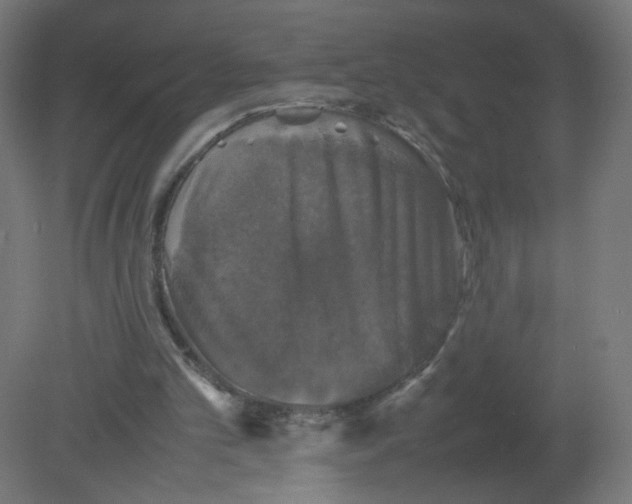 X0000080760101200701122040