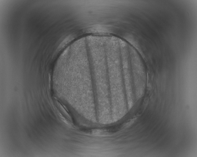 X0000080760109200701122039