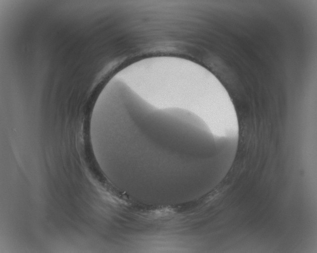 X0000080760112200701122039