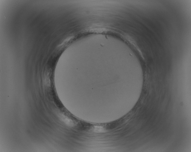 X0000080760114200701122039