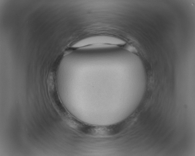 X0000080760121200701122039