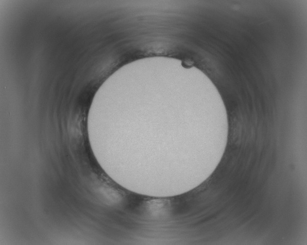 X0000080760126200701122039