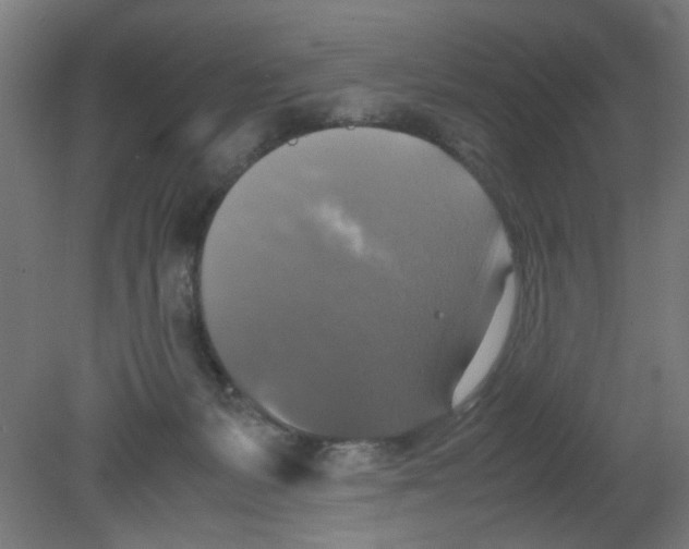 X0000080760127200701122039