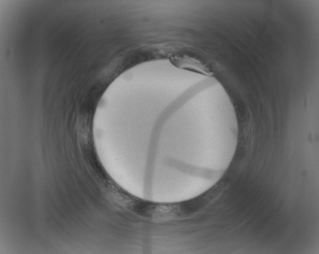 X0000080760129200701122039