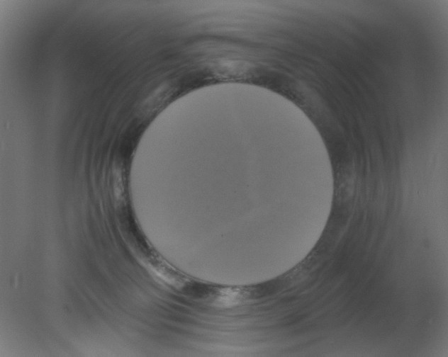 X0000080760130200701122039