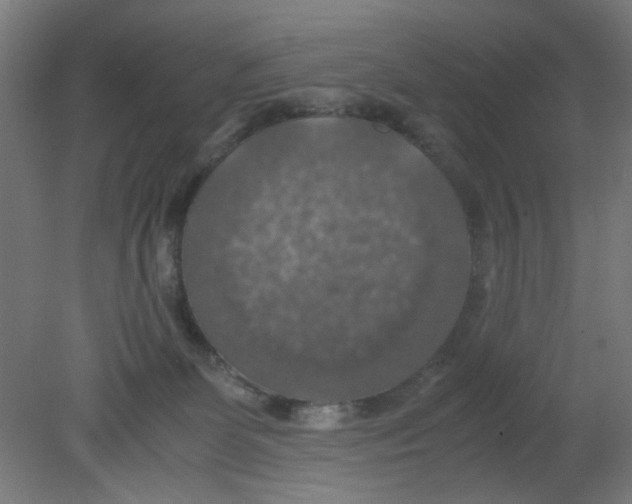 X0000080760131200701122039