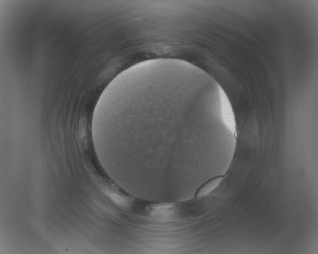 X0000080760132200701122039