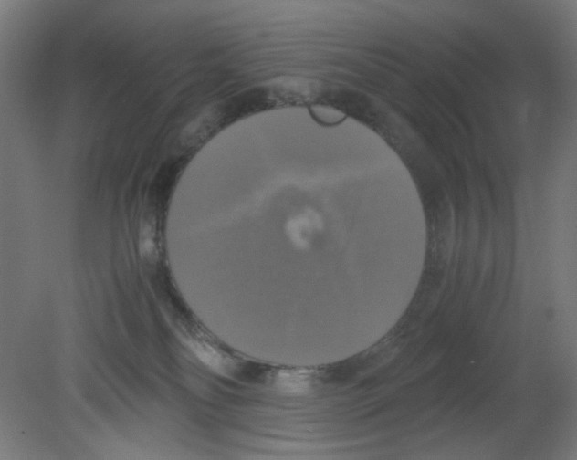 X0000080760134200701122039