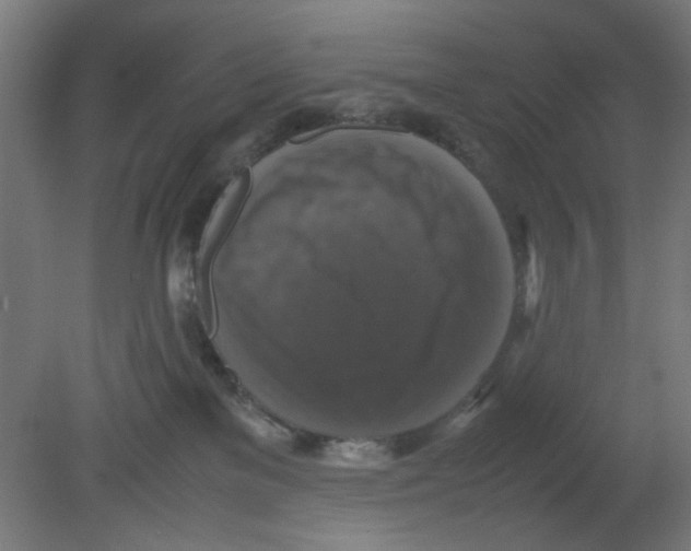 X0000080760137200701122039