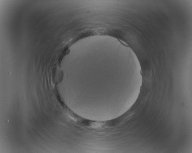 X0000080760139200701122039