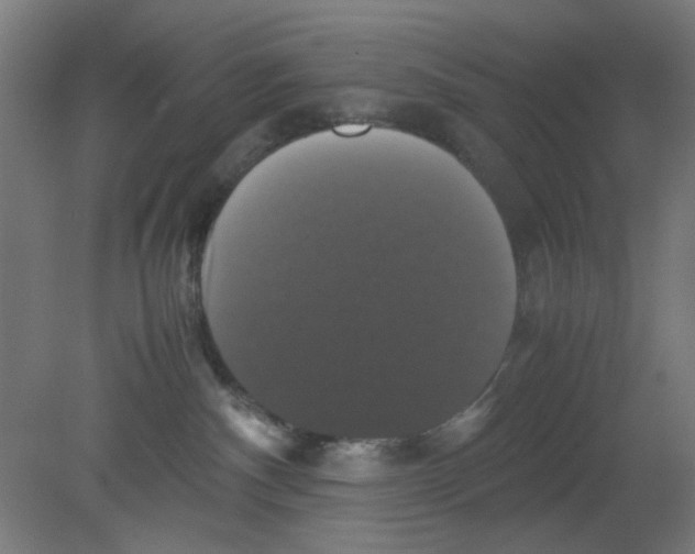 X0000080760140200701122039