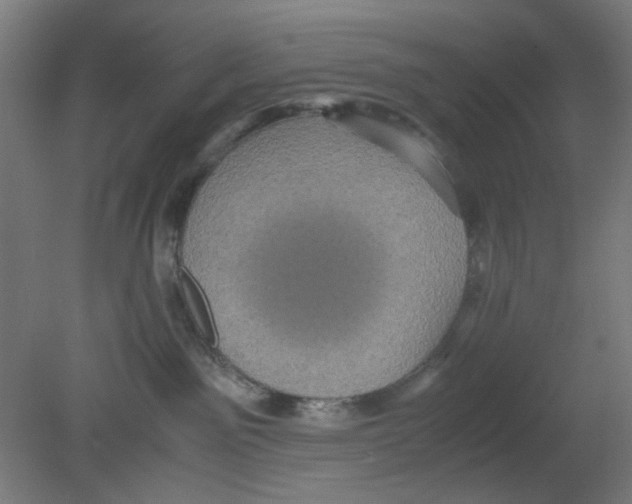 X0000080760141200701122039