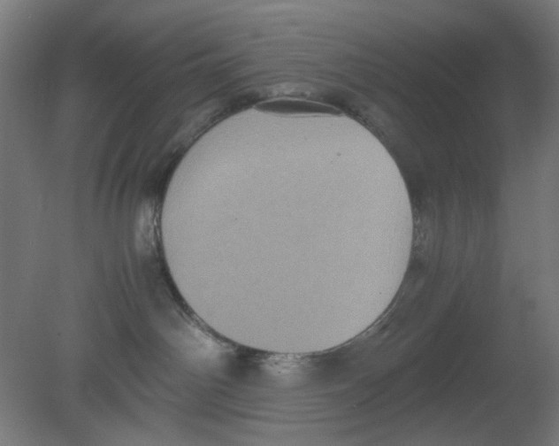X0000080760142200701122039