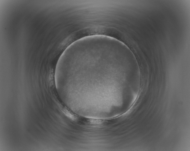 X0000080760144200701122039