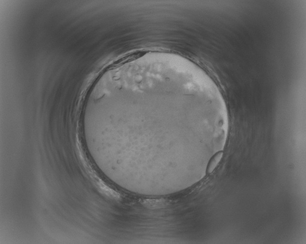 X0000080760145200701122038