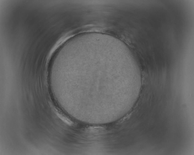 X0000080760150200701122038