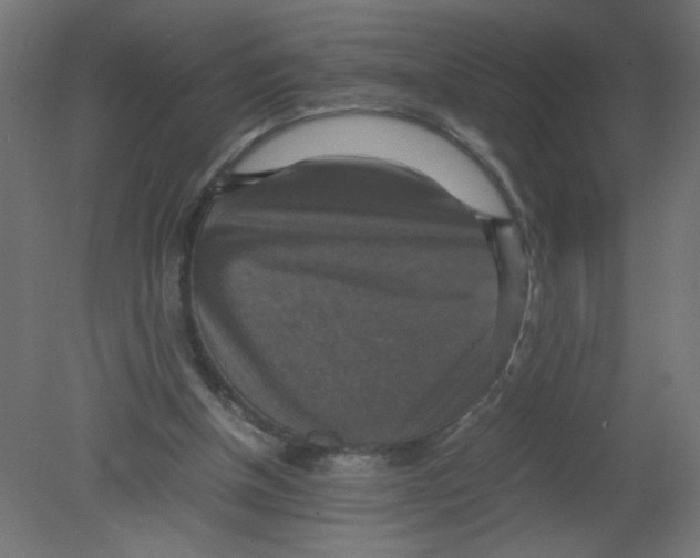 X0000080760154200701122038
