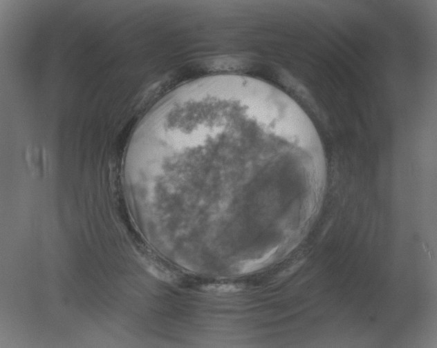 X0000080760161200701122038