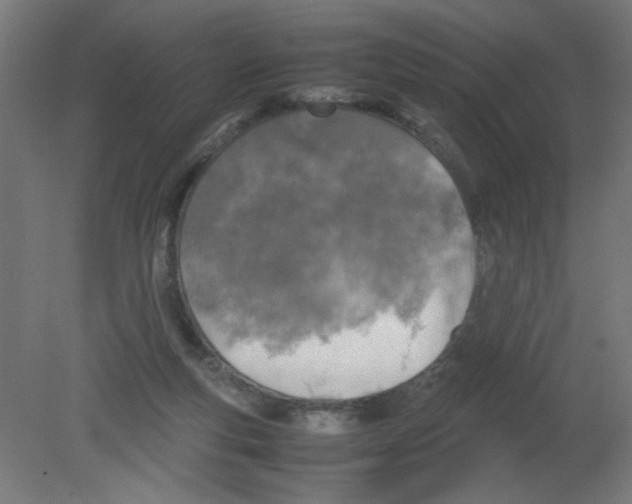 X0000080760163200701122038