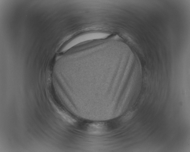 X0000080760164200701122038