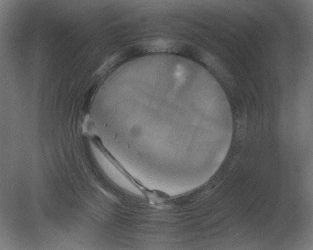 X0000080760165200701122038