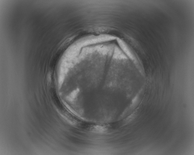 X0000080760166200701122038