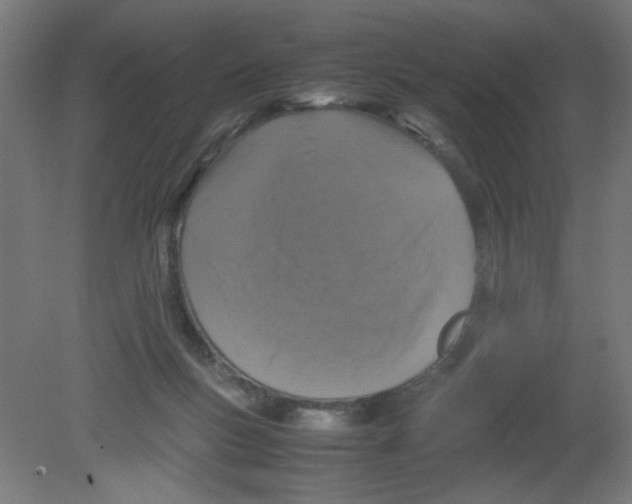 X0000080760167200701122038