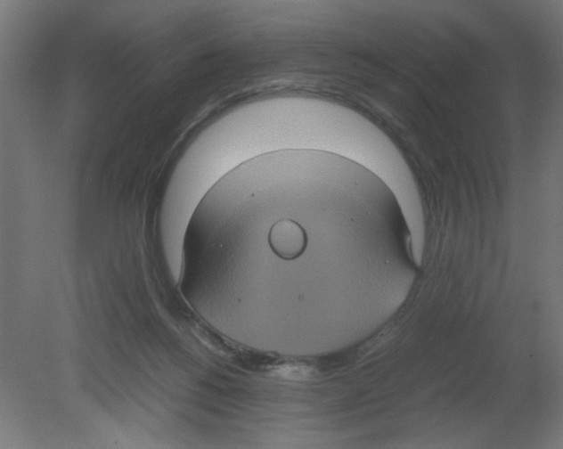X0000080760168200701122038