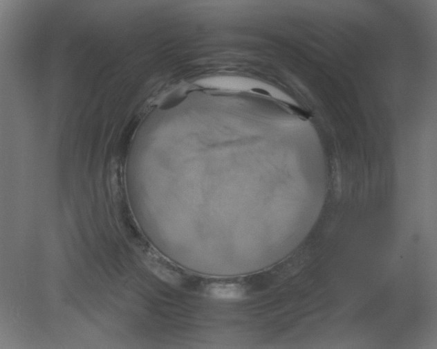 X0000080760169200701122038