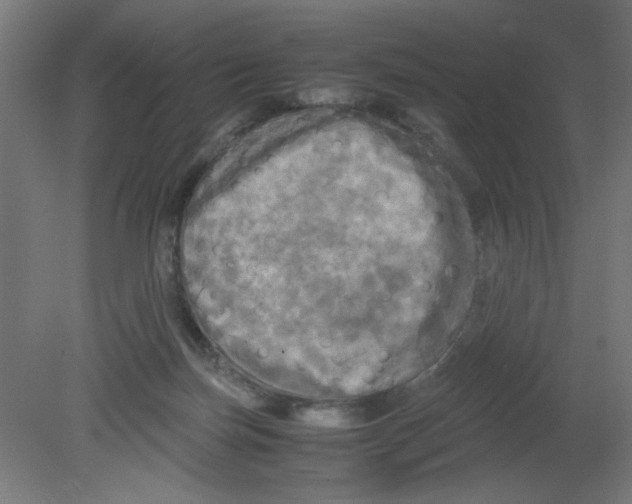 X0000080760171200701122039