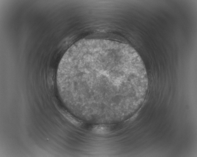 X0000080760174200701122039