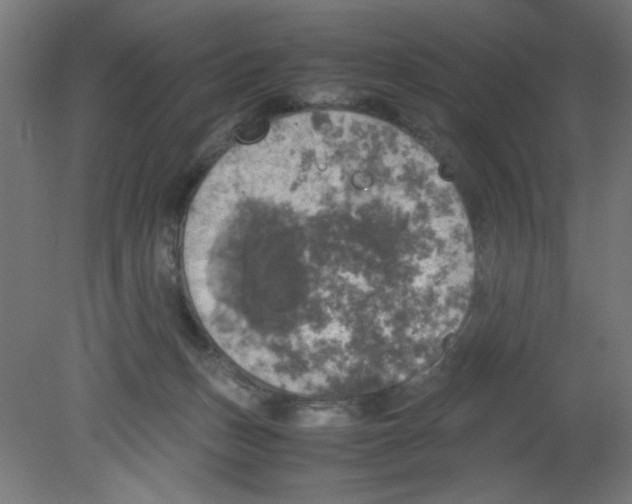 X0000080760175200701122039