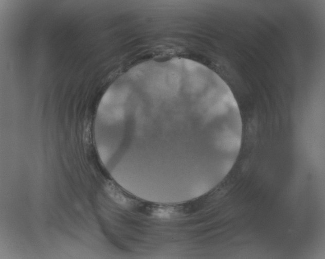 X0000080760177200701122039