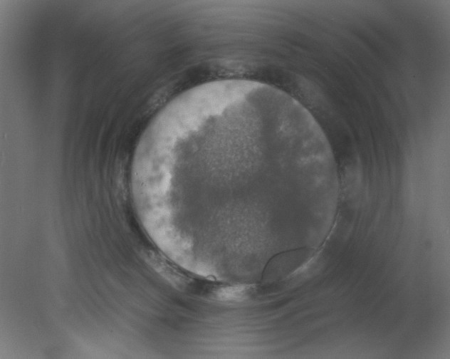 X0000080760178200701122039