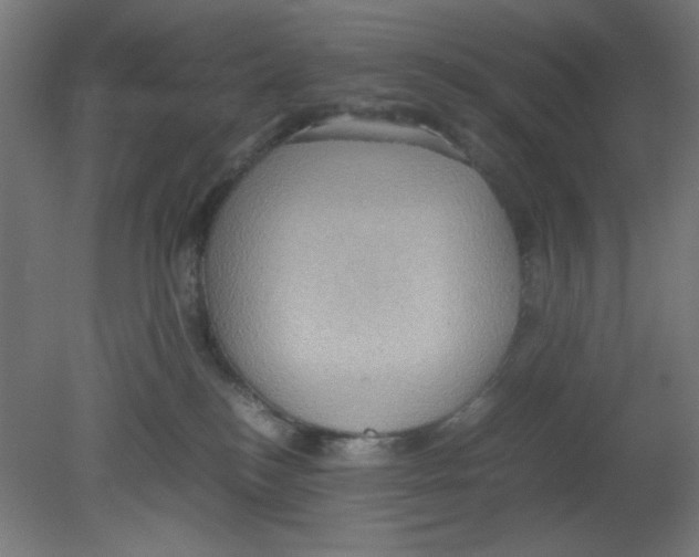 X0000080760184200701122039