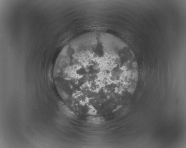 X0000080760185200701122039