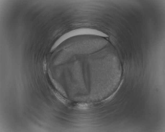 X0000080760190200701122039
