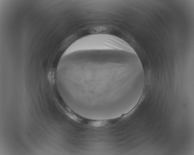 X0000080760191200701122039