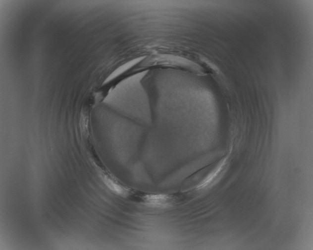 X0000080760192200701122039