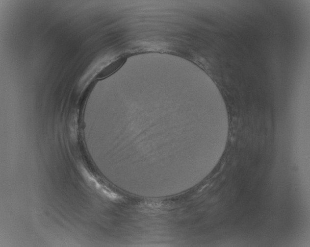 X0000080760194200701122038