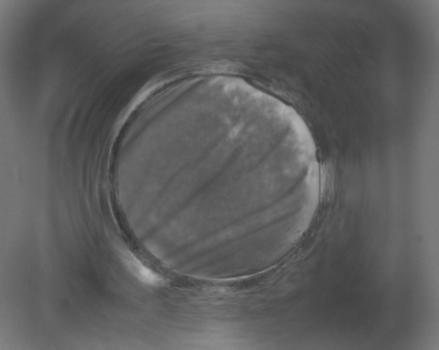 X0000080760195200701122038