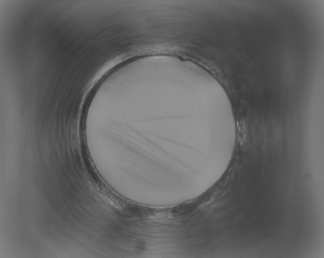 X0000080760196200701122038